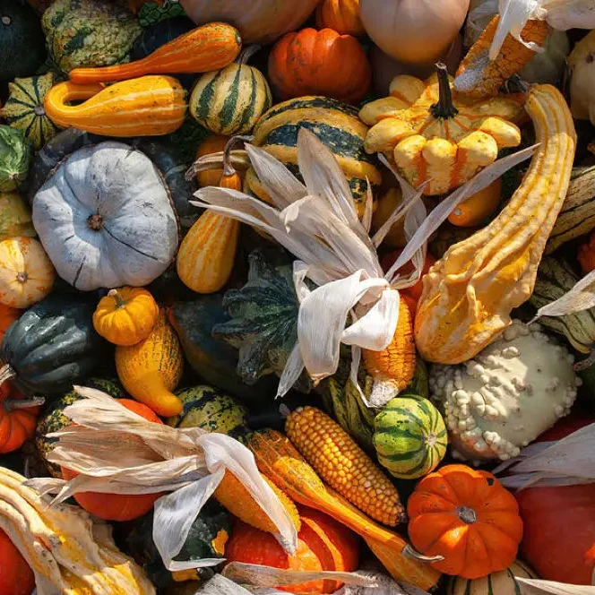 Colorful Ornamental Gourd Mix - Small Unique Vegetable Seeds for Your Garden Delights