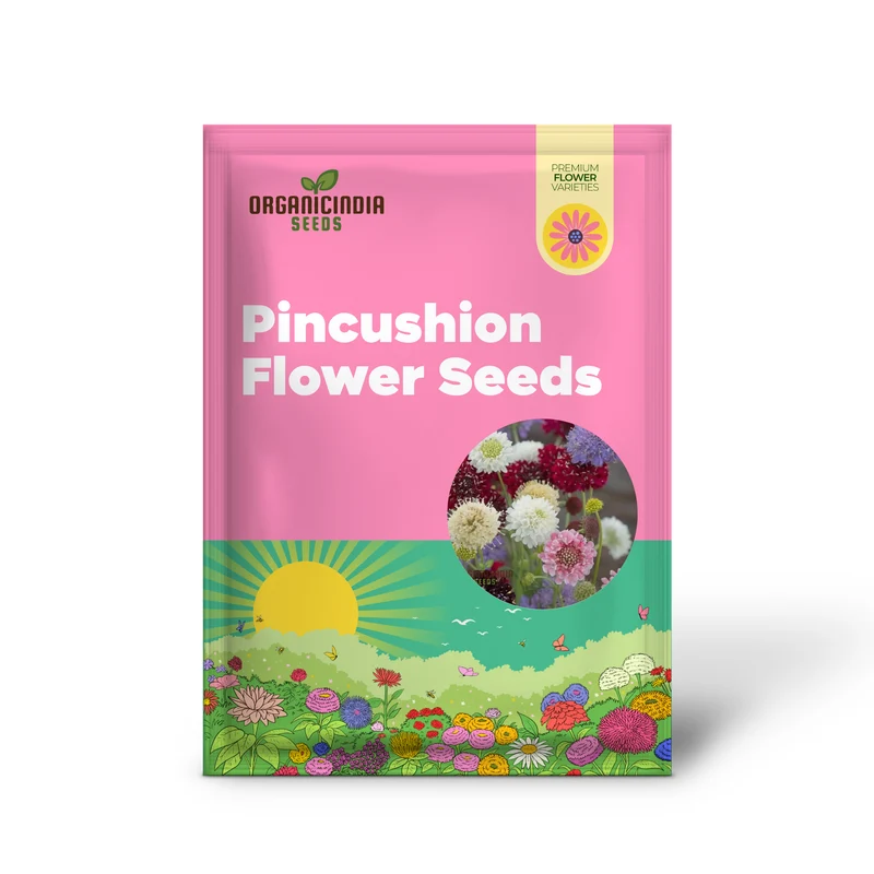 Scabiosa Comosa Pincushion Flower Seeds, Unique Blooms, Easy-to-Grow, Stunning Garden Addition