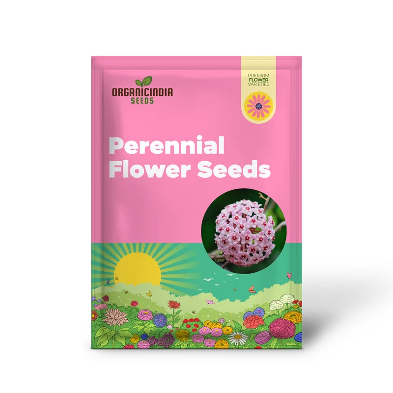 Orchid Seeds (Perennial Ball Orchid Seeds) - Star-Shaped Blooms for Gardens