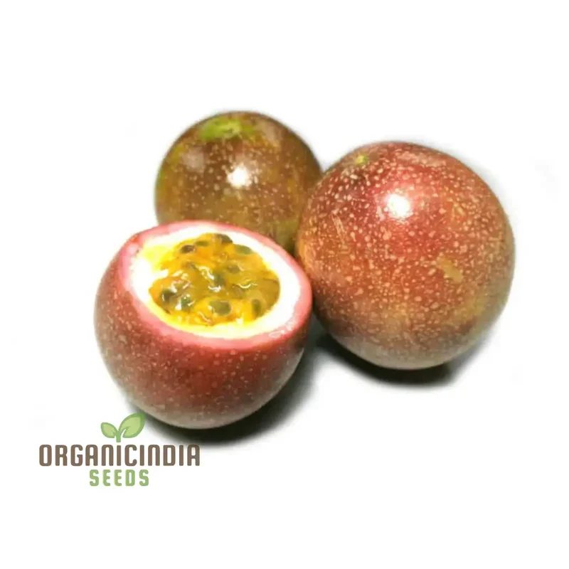 Planting a Diverse Fruit Garden, A Complete Guide to Growing Fresh Lemon, Cherry, Orange, Apple, Passion Fruit, and Blueberry from Mixed Fruit Seeds