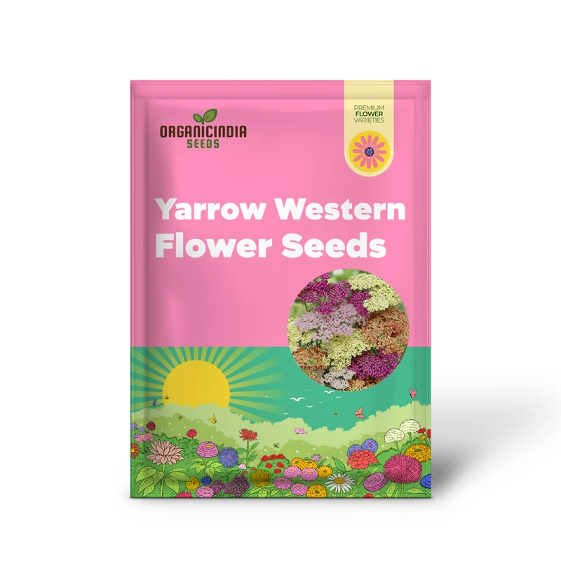 Yarrow Western Flower Seeds for Planting - 1500 Mixed Yarrow Western Flower Seeds Non GMO & Heirloom Seeds Garden Flower Seeds