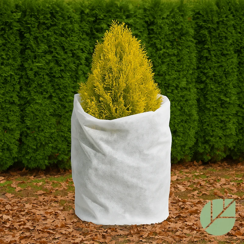 Couverture isolante R20 3 pi x 50 pi