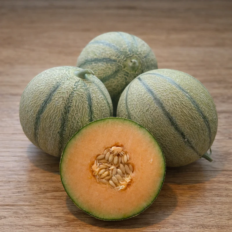 Cantaloup ‘Melonade’ ( Cucumis melo )