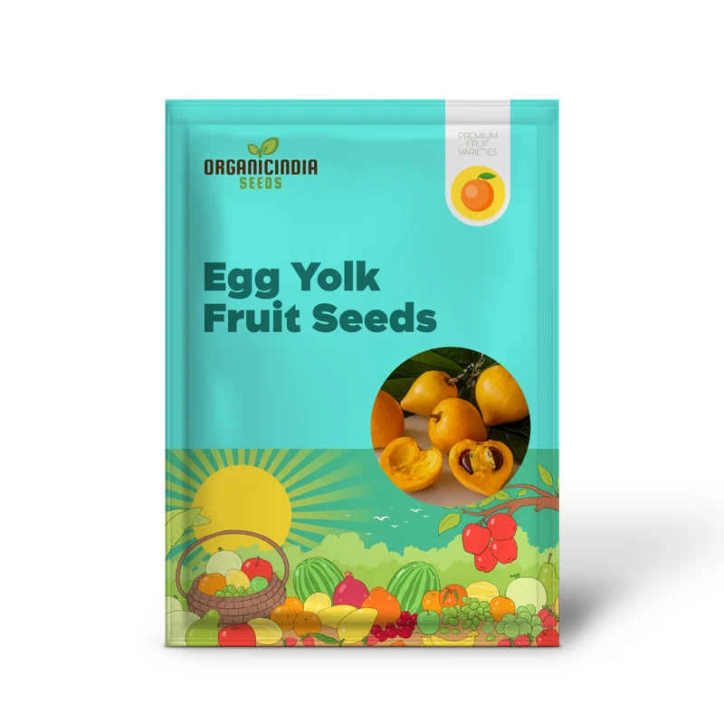 Premium Nema Lucuma Nervosa Egg Yolk Fruit Seeds for Gardening Enthusiasts: Grow Exotic Seeds with Ease