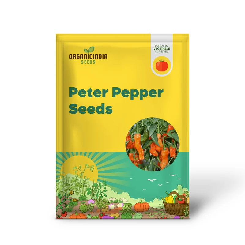 Orange Peter Pepper Plant Seeds - Unique and Spicy Peppers for Vibrant Garden Harvests