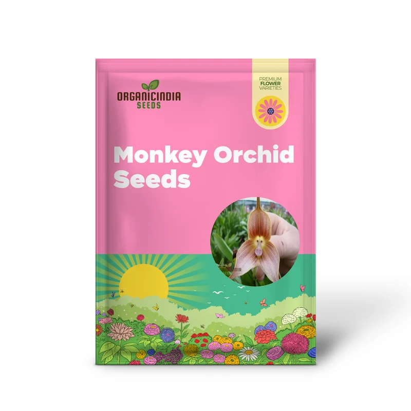 Grow Your Own Exotic Monkey Face Orchid Premium Seeds – Rare Dracula Simia Flowers for Indoor Gardening, Greenhouses, Collectors & Unique Plant Displays