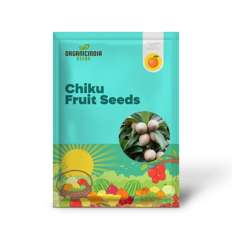 Chiku Fruit Seeds for Gardening Enthusiasts Ideal for Lush, Productive Gardens