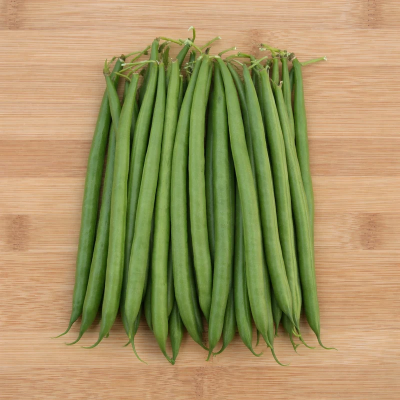 Haricot nain ‘Sybaris’ ( Phaseolus vulgaris )