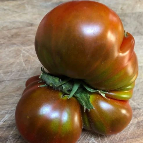 Tomate 'Paul Robeson' bio