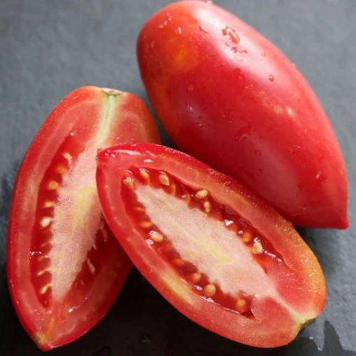Tomate 'Pink Icicle' bio