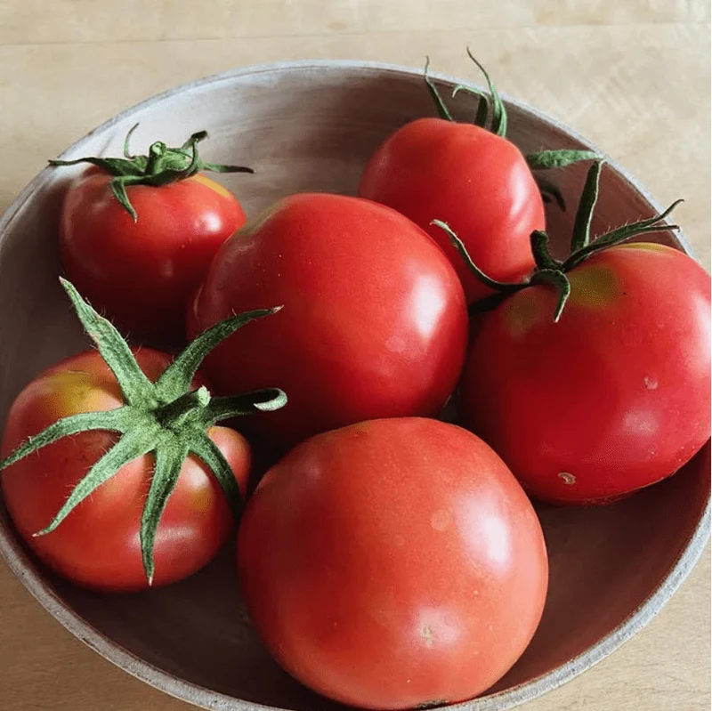 Tomate ‘Rose De Bonne’, semences biologiques ( Solanum lycopersicum )