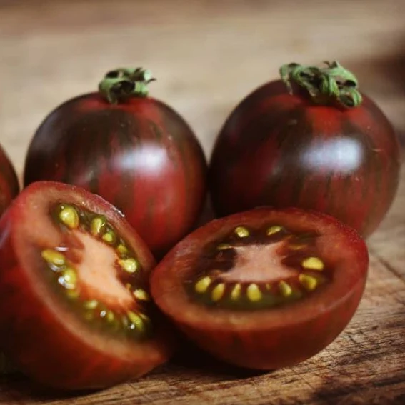 Tomate cerise ‘Violet Jasper’, semences biologiques ( Solanum lycopersicum )