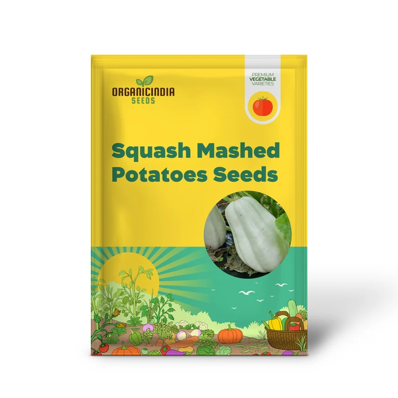Winter Squash Mashed Potatoes Vegetable Seeds, Heirloom Varieties for Your Garden