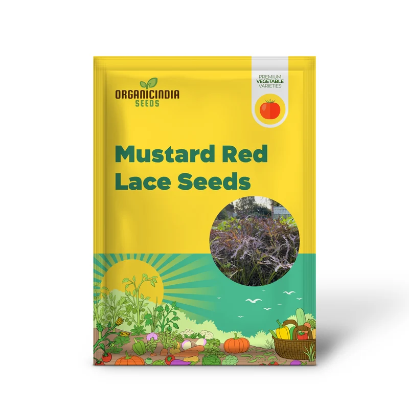 Mustard Red Lace Seeds, Elevate Your Gardening Experience with Striking, Flavorful Blooms!