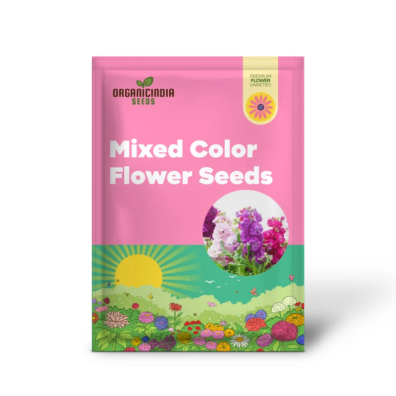 Stock Double Mixed Seeds – Fragrant, Colorful Garden Bloom Variety