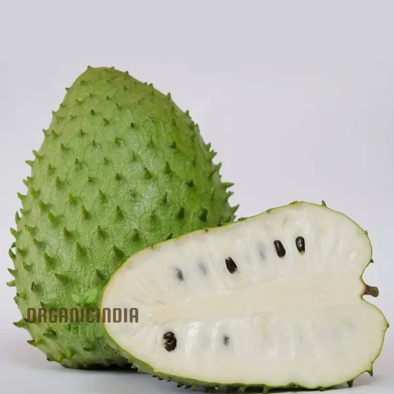 Giant Soursop Tropical Fruit Seeds Grow Your Own Exquisite, Lush Tropical Delights with Expert Planting and Gardening