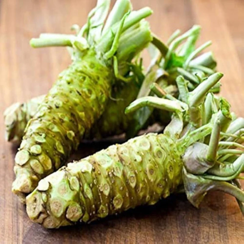 Horseradish Vegetable Seeds - Elevate Your Gardening with Robust, Flavorful Roots for Culinary Delights