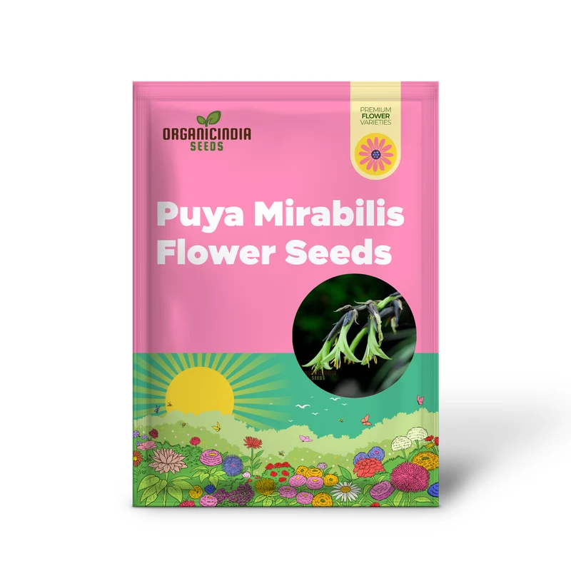Green Puya Mirabilis Flower Seeds, Rare and Striking Blooms, Easy-to-Growing and Exotic Garden