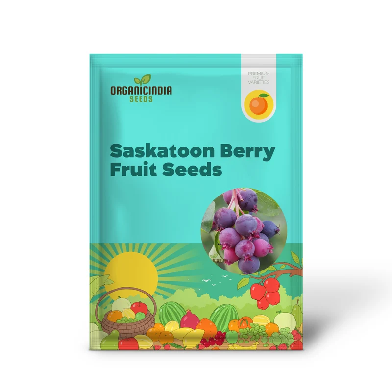 Saskatoon Berry Fruit Seeds “ Elevate Your Gardening Experience with Delicious, Nutritious Berries