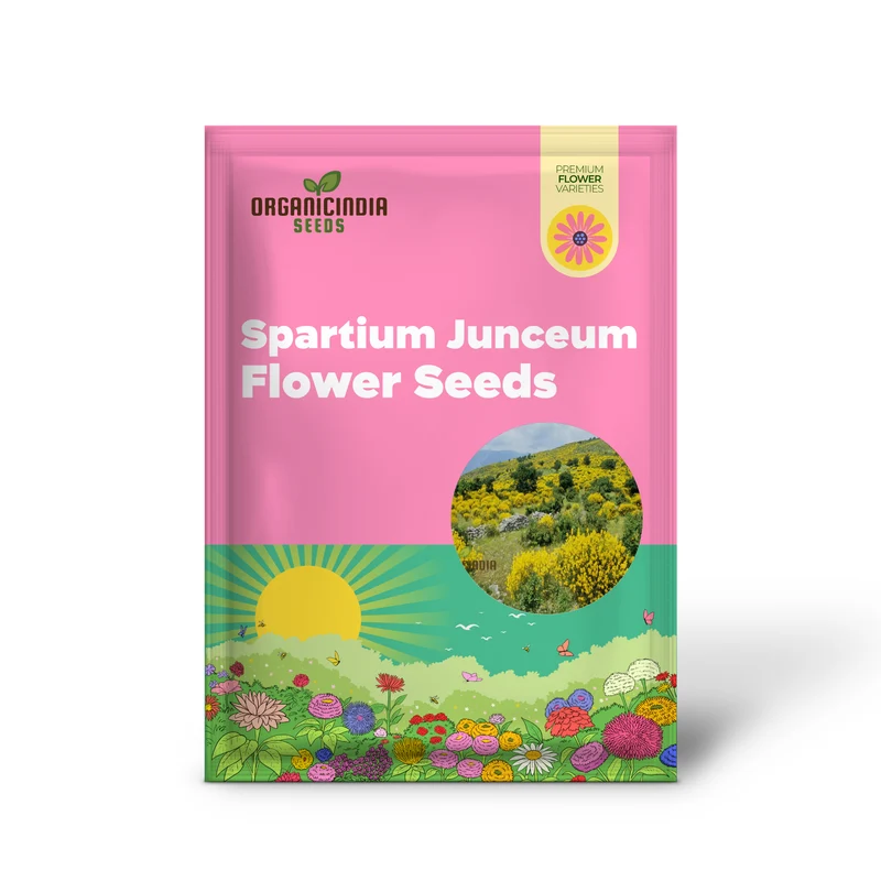 Spartium Junceum Seeds – Fragrant Spanish Broom for Sunny Landscapes, Borders, Driveways, Slopes & Drought-Tolerant Gardening