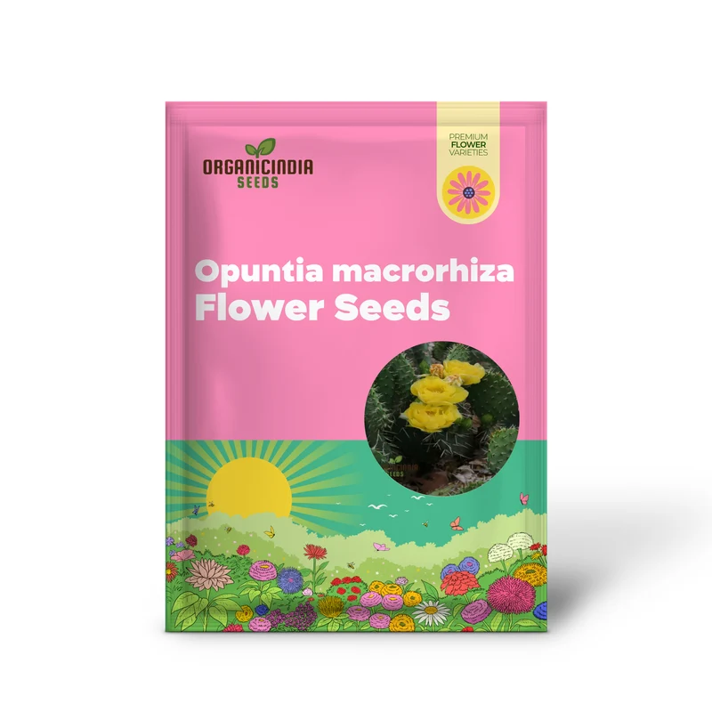 Yellow Opuntia macrorhiza Seeds – Hardy Prickly Pear Cactus for Garden Planting