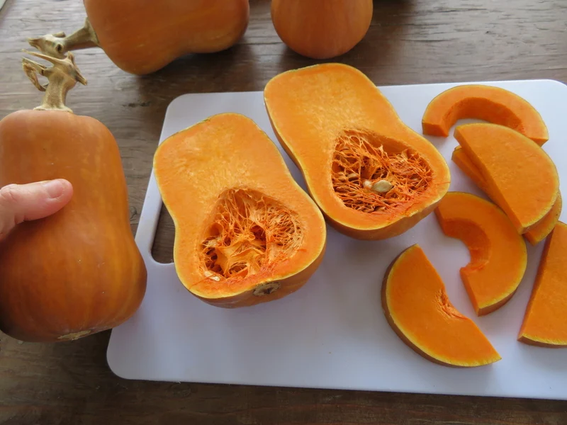Courge ‘Honeynut’ ( Cucurbita moschata )