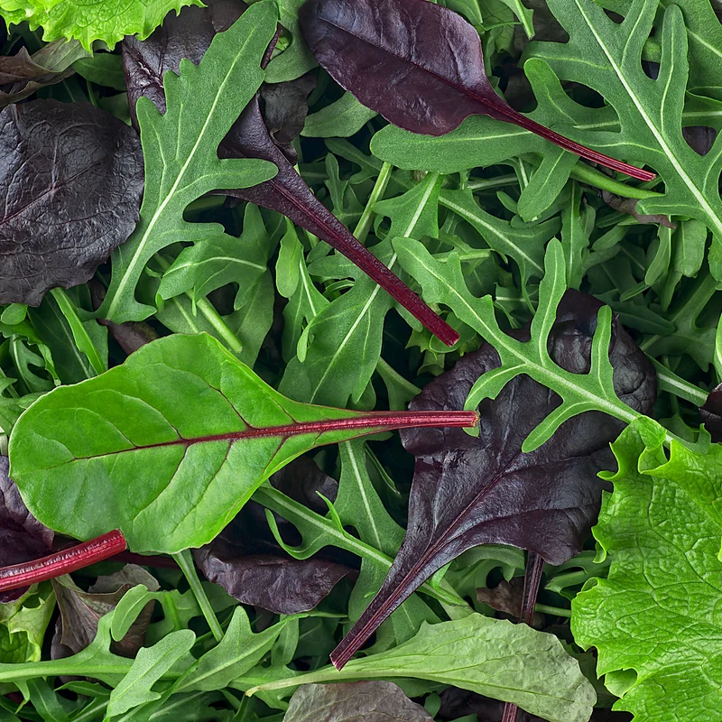 Laitue Simply Salad mix