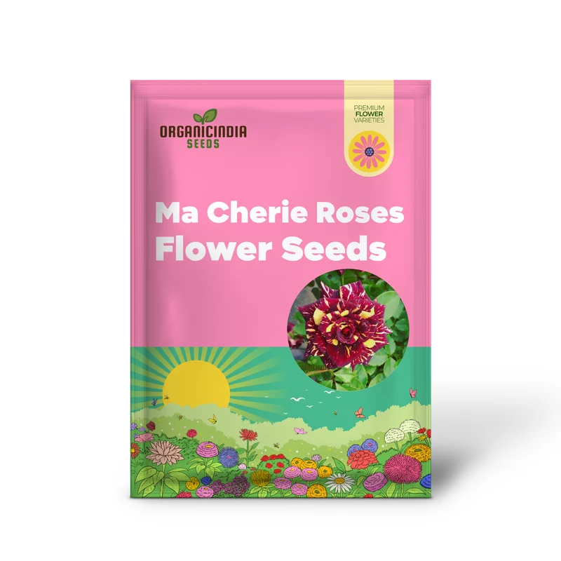Ma Cherie Rose Seeds – Exquisite Garden Blooms