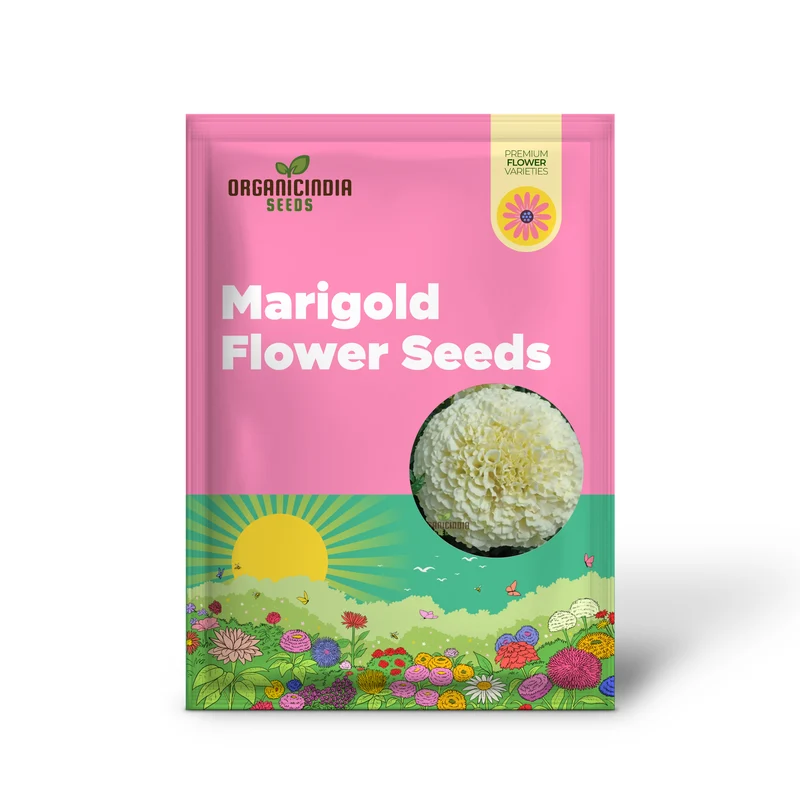 White Marigold Flower Seeds for Gardening Enthusiasts Grow Stunning Blooms with Our High Quality Marigold Seeds