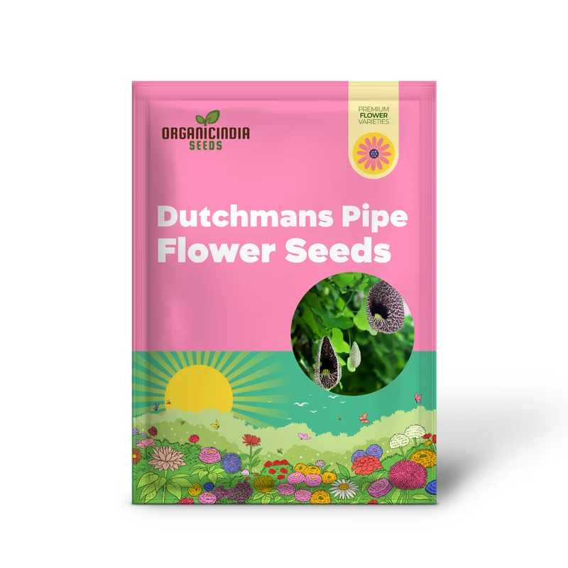 Dutchman’s Pipe Seeds (Climbing Dutchman’s Pipe Seeds) - Unique Blossoms for Vertical Gardening