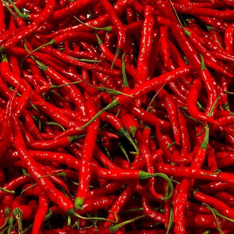 Piment Cajun Belle