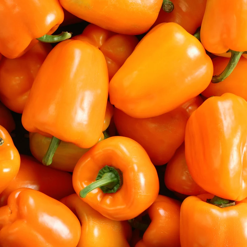 Poivron orange