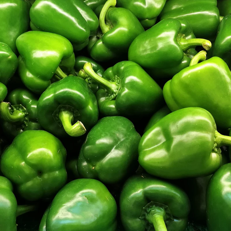 Poivron doux vert