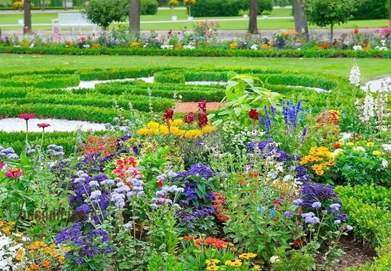 Buzzing Gardens: Premium Mix Wildflower Seeds - Delight Bees, Butterflies, and Hummingbirds! | Attracts Pollinators | Easy-to-Grow & Maintain | Create Your Vibrant Haven