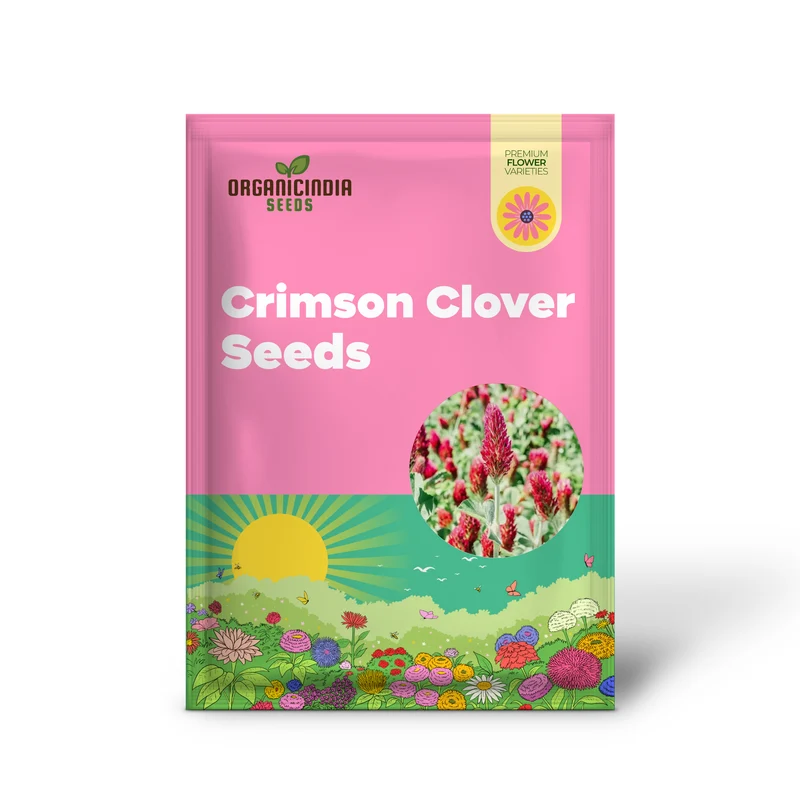Clover Seeds (Crimson Clover Seeds) - Vibrant Crimson Blooms for Lush Garden Growth