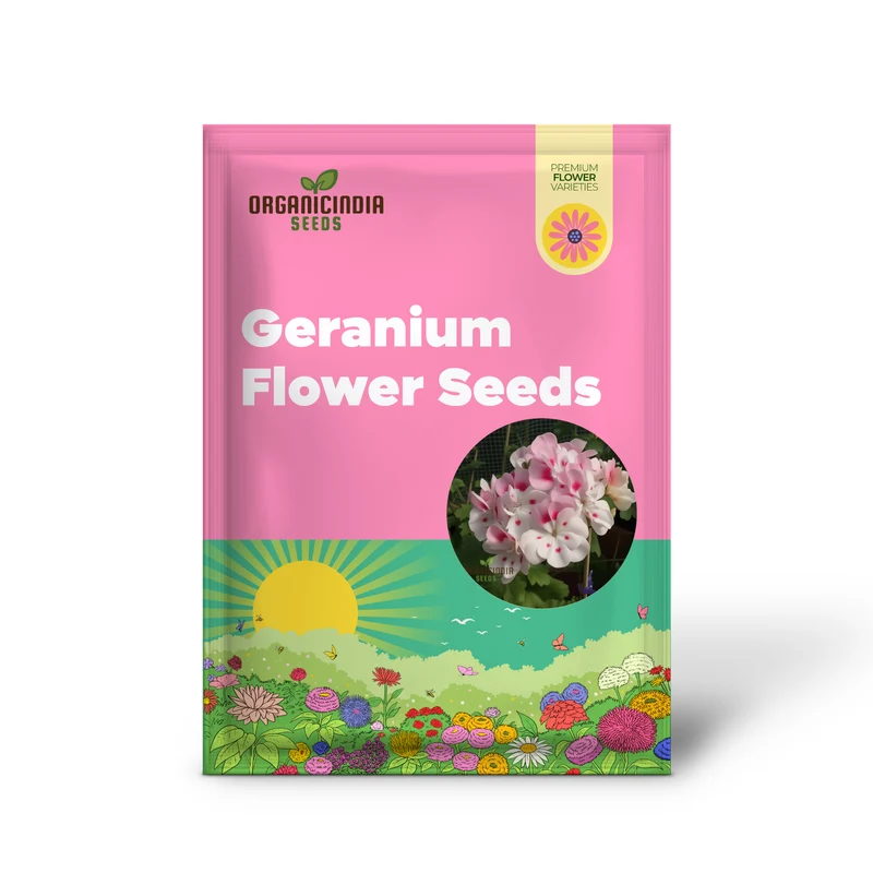 Geranium Flower Seeds for Planting – White Blooms with Pink Accents for Garden Beds, Borders, Pots, Balcony Containers & Outdoor Landscaping