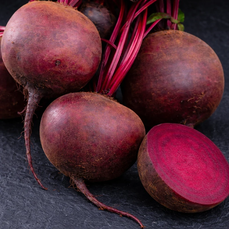 Betterave ‘Red Ace’ bio ( Beta vulgaris )