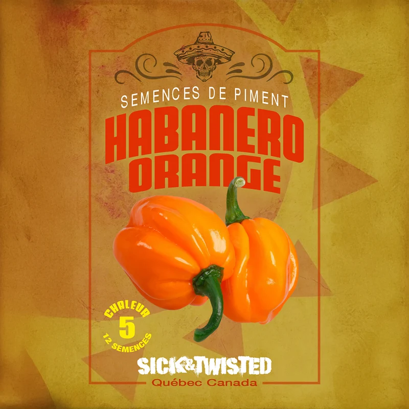 Piment fort ‘Habanero Orange’ ( Capsicum chinense )