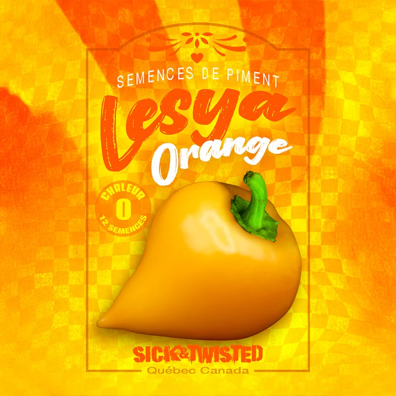 Poivron ‘Lesya Orange’ ( Capsicum annuum )