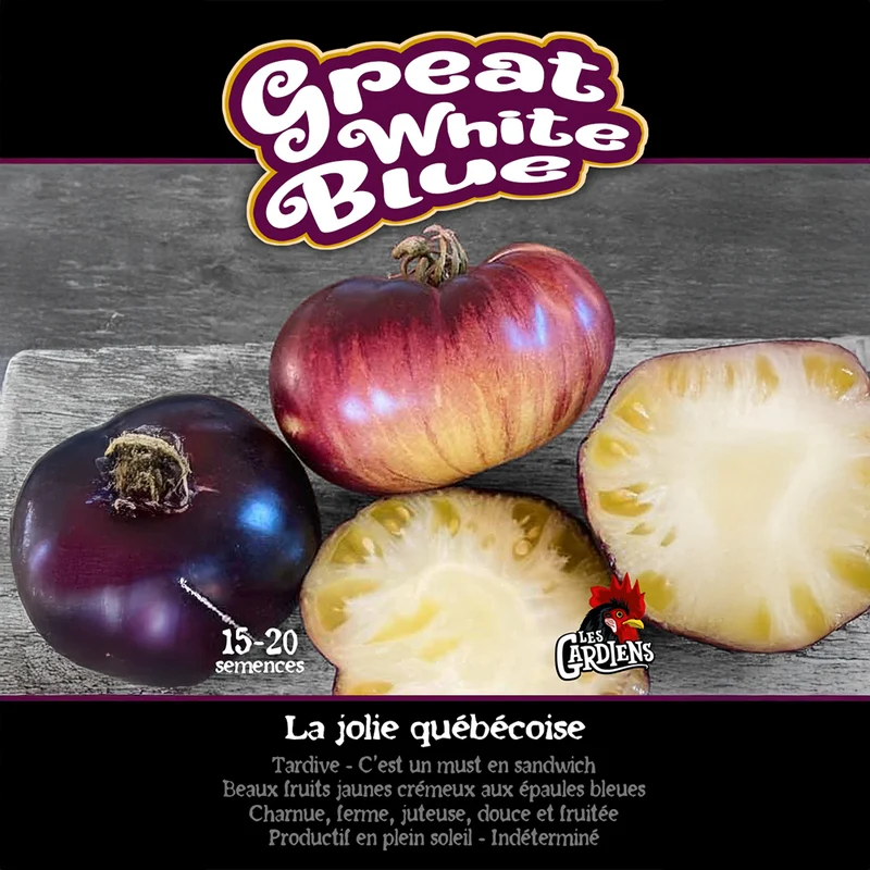 Tomate ‘Great White’ ( Solanum lycopersicum )