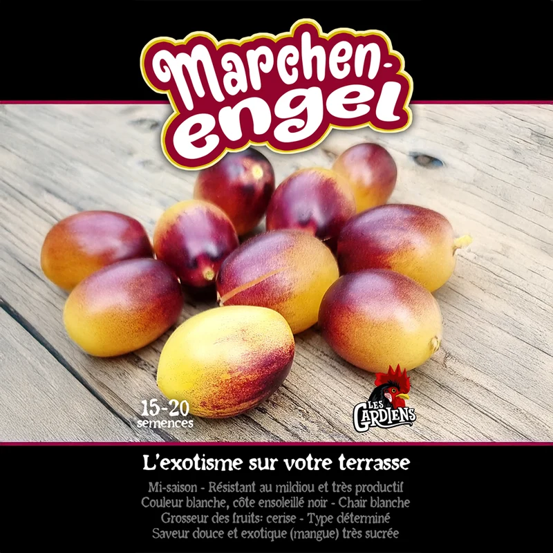 Tomate ‘Märchenengel’ ( Solanum lycopersicum )