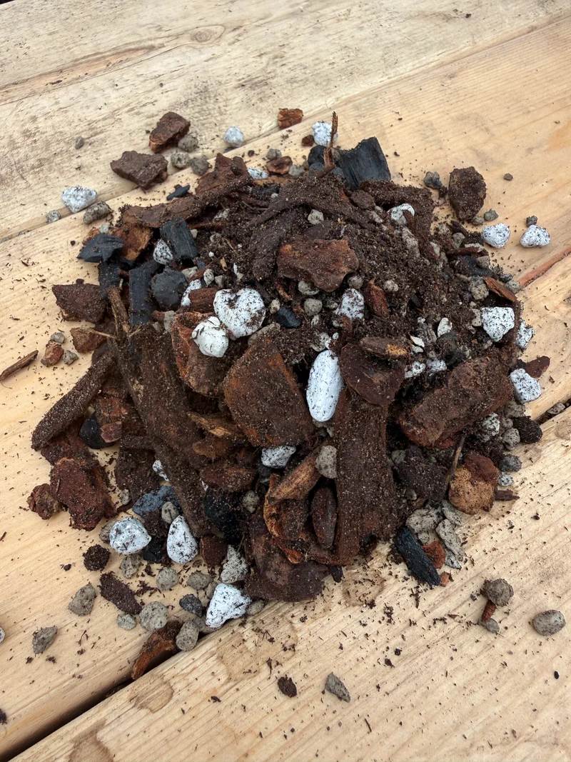 Terreau pour plantes à caudex GAIAND