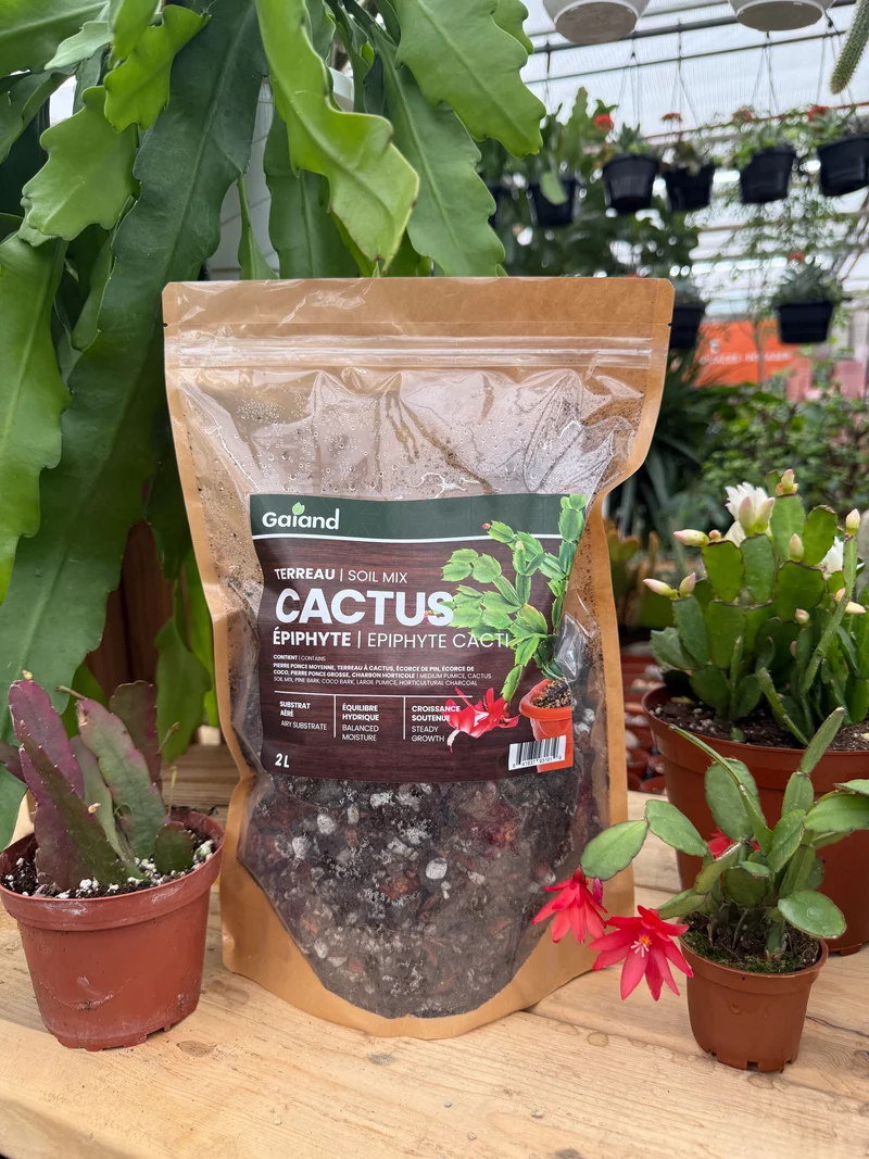 Terreau pour cactus épiphytes GAIAND
