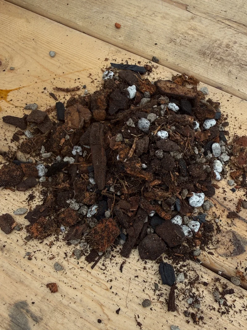 Terreau pour cactus épiphytes GAIAND