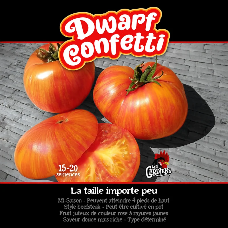 Tomate ‘Dwarf Confetti’ ( Solanum lycopersicum )