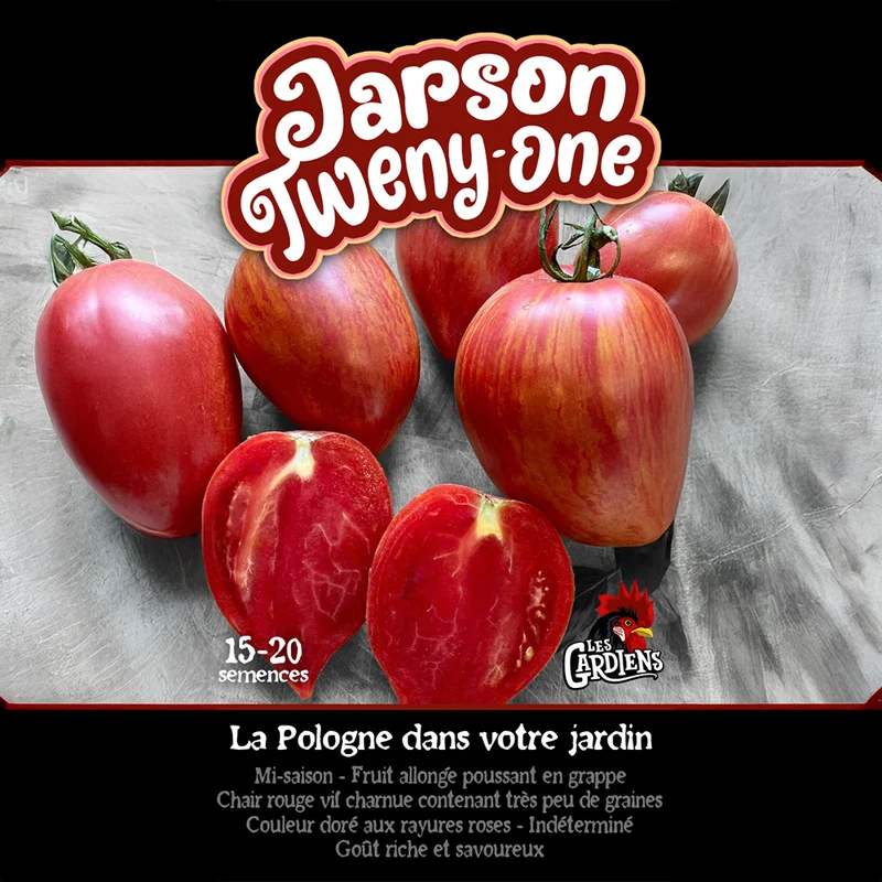 Tomate ‘Jarson Twenty One’ ( Solanum lycopersicum )
