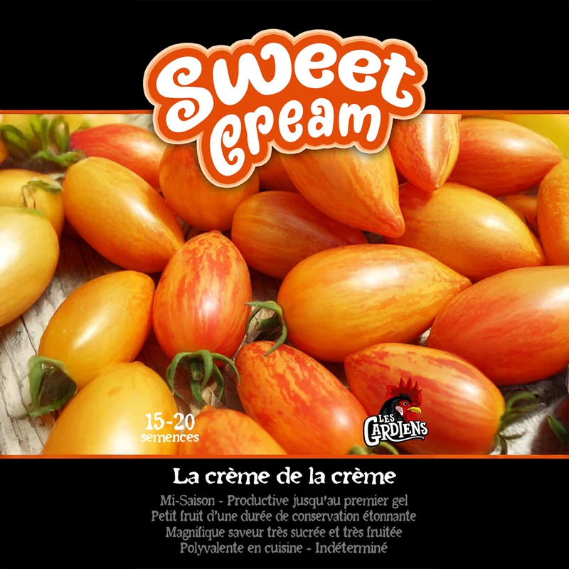 Tomate ‘Sweet Cream’ ( Solanum lycopersicum )