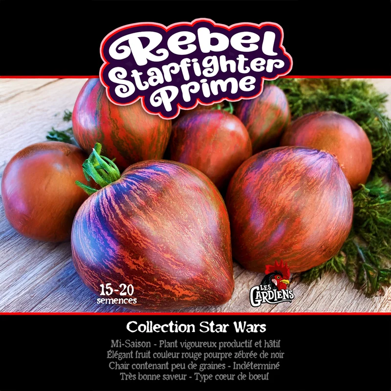 Tomate ‘Rebel Starfighter’ ( Solanum lycopersicum )