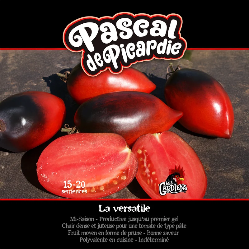 Tomate ‘Pascal de Picardie’ ( Solanum lycopersicum )