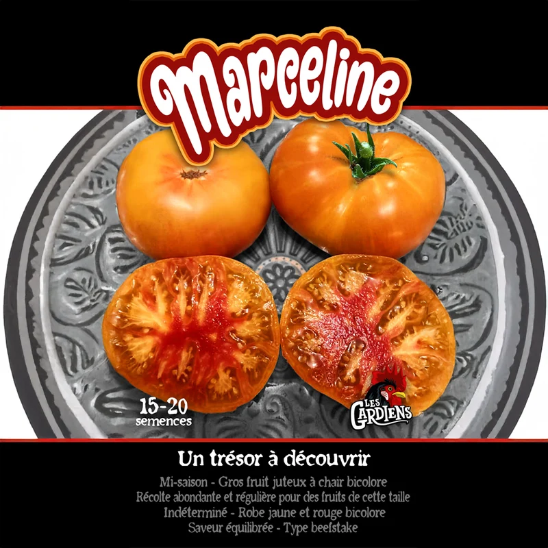 Tomate ‘Marceline’ ( Solanum lycopersicum )